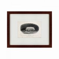 картина: a prize boar, 1867 в Москве