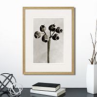 картина: botanical philosophy of forms №4, 1912г. в Москве