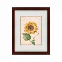 картина: watercolor over pencil etude №3, 1750 в Москве