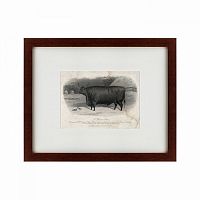 картина: a devon steer, 1869 в Москве