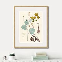 картина: fragmenta botanica №12, 1809г. в Москве