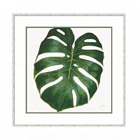 постер monstera зеленый в Москве