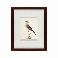 картина: the brown bird в Москве
