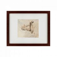 картина: the head of a rhinoceros, 1889 в Москве