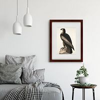 картина: great american sea eagle, 1837 в Москве