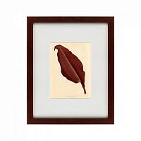 картина: the dark red leaf, 1881 в Москве