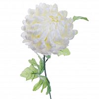 Хризантема белая 63 см (24)
