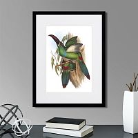картина: toucans №5, 1849г. в Москве