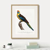 картина: beautiful parrots №12, 1872г. в Москве