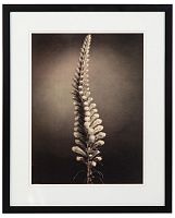 постер с паспарту в раме gentle sepia ver. 5 в Москве