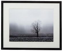 постер с паспарту в раме fog & tree в Москве