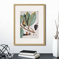 картина: exotic plants of the world №5, 1815 (ii) в Москве