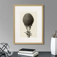 картина: botanical philosophy of forms №6, 1912г. в Москве