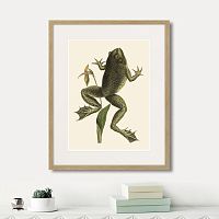 картина: big jumping frog, 1745г. в Москве