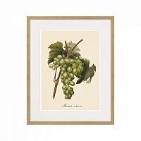 картина juicy fruit lithography №13-1, 1870 г., 42х52 см в Москве