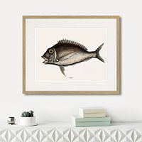 картина: marine life №7, 1725г. в Москве