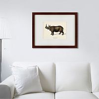 картина: rhinoceros ancienne gravure, 1849 в Москве