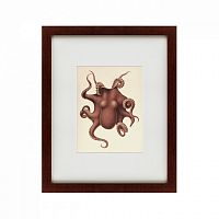 картина: pacific octopus, 1731 в Москве