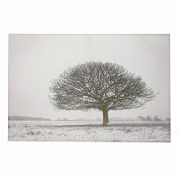принт wood на подрамнике в Москве