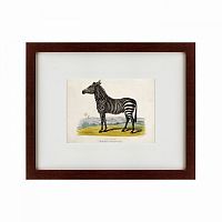 картина: a zebra, 1830 в Москве