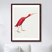 картина: scarlet ibis, 1827г. в Москве