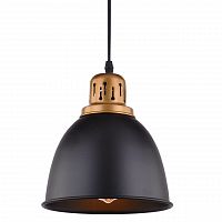 подвесной светильник arte lamp eurica a4245sp-1bk в Москве