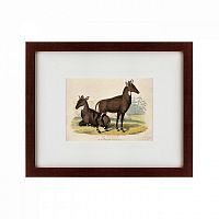 картина: two nilgais, 1830 в Москве