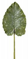 декор giant taro leaf в Москве