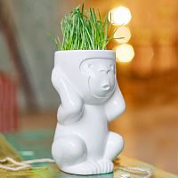 горшок для растений eco игнорик в Москве