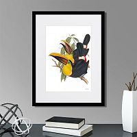 картина: toucans №1, 1849г. в Москве