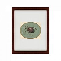 картина: spider, 1690 в Москве