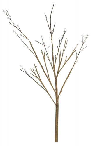 декор twig stem в Москве
