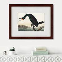 картина: florida cormorant, 1835 в Москве