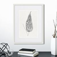 картина: the fern collection №5 в Москве