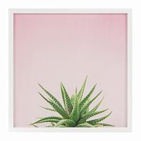 постер aloe разноцветный в Москве