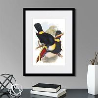 картина: toucans №2, 1849г. в Москве