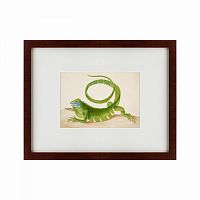 картина: green iguana, 1701 в Москве