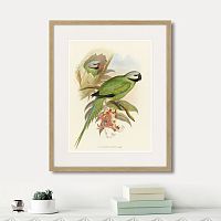 картина: love parrots ii, 1851г. в Москве