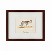 картина: an ocelot, 1801 в Москве