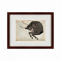 картина: signs of zodiac taurus, 1825 в Москве
