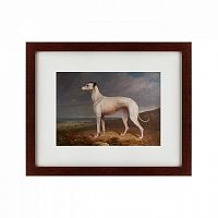 картина: portrait of a greyhound, 1744 в Москве
