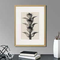 картина: botanical philosophy of forms №7, 1912г. в Москве