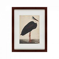 картина: black stork in a landscape, индия, 1780 в Москве