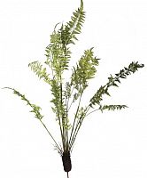 декор fern plant в Москве