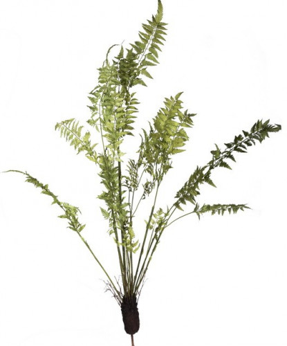 декор fern plant в Москве