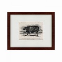 картина: a short horned steer, 1849 в Москве
