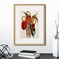 картина: exotic plants of the world №15, 1815г. в Москве