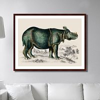 картина: rhinoceros, 1774г. в Москве