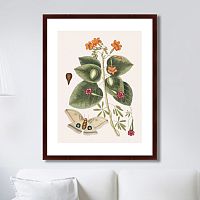 картина: beauty bloom №4, 1732г. в Москве