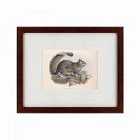 картина: the squirrel, 1879 в Москве